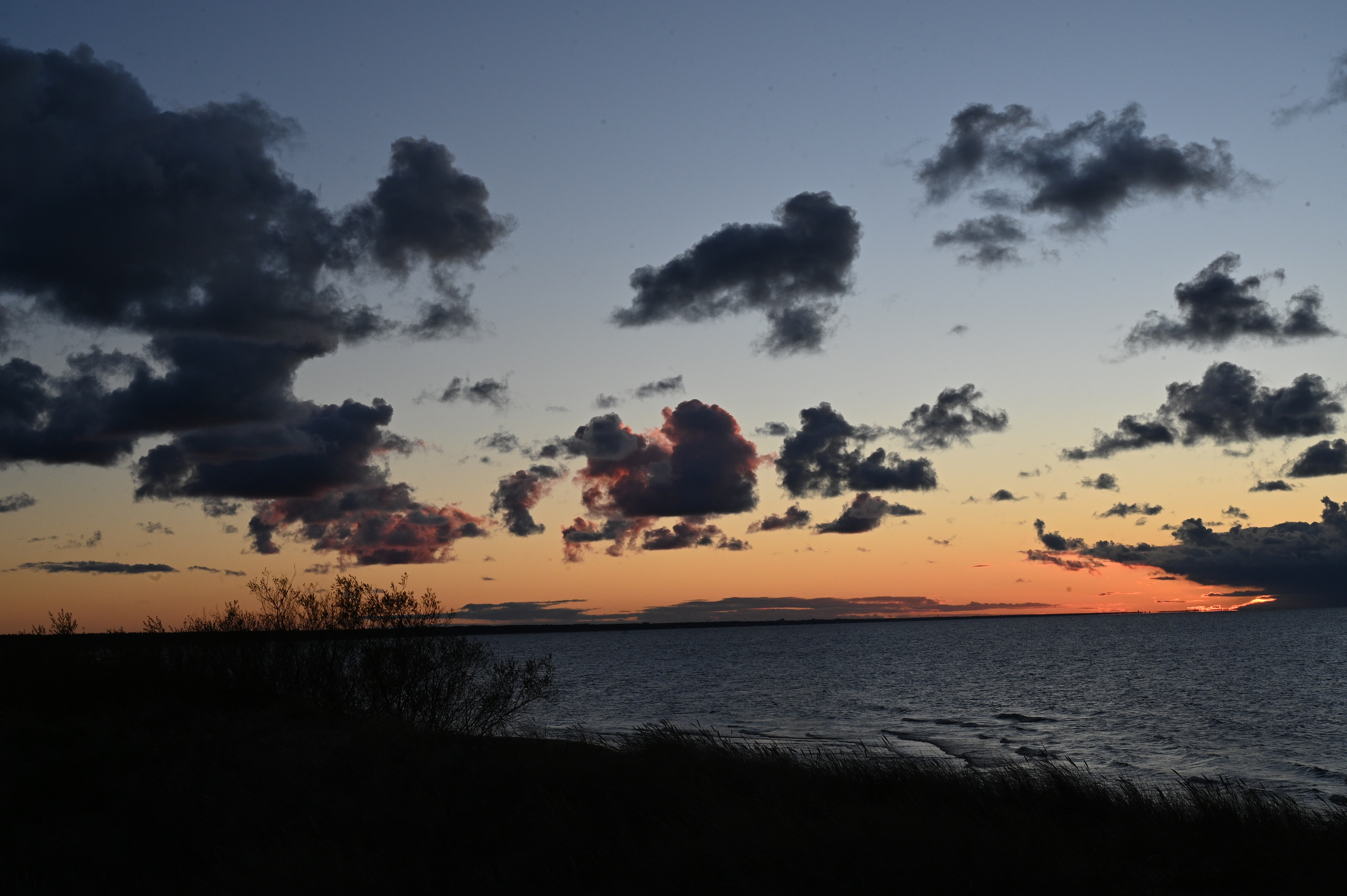 2025/10/18 - walk/DSC_0529.JPG